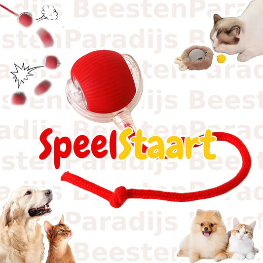 SpeelStaart